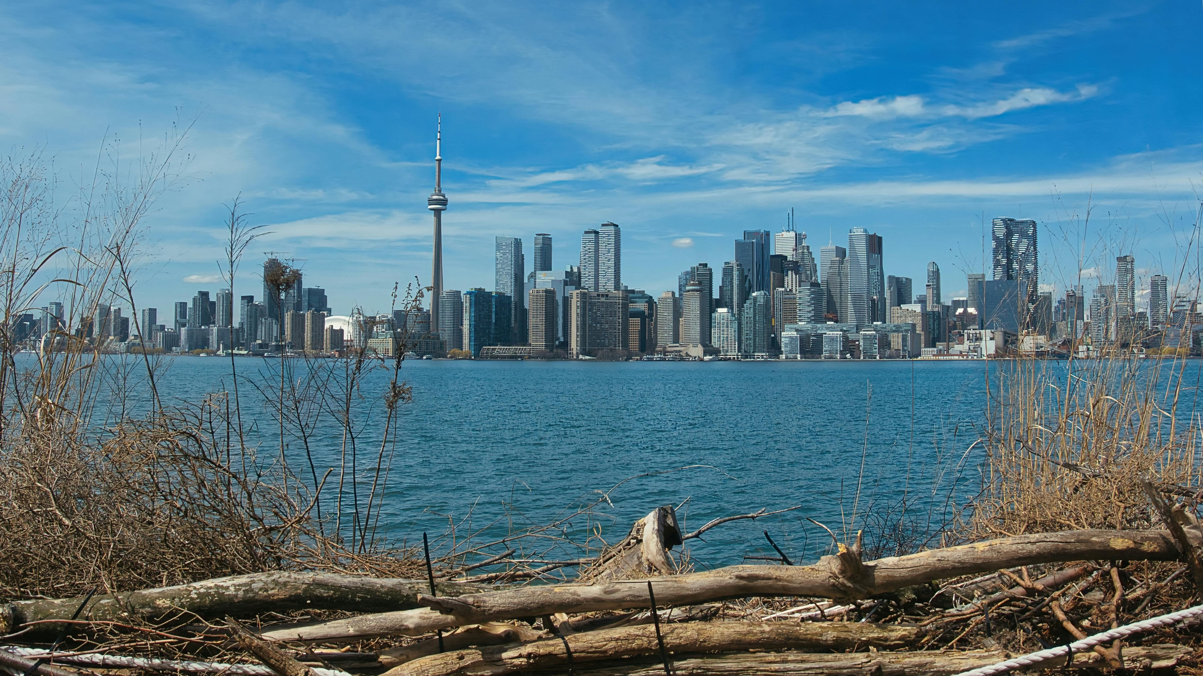 Stunning view of the Toronto skyline with the iconic CN Tower across the water on a clear day.