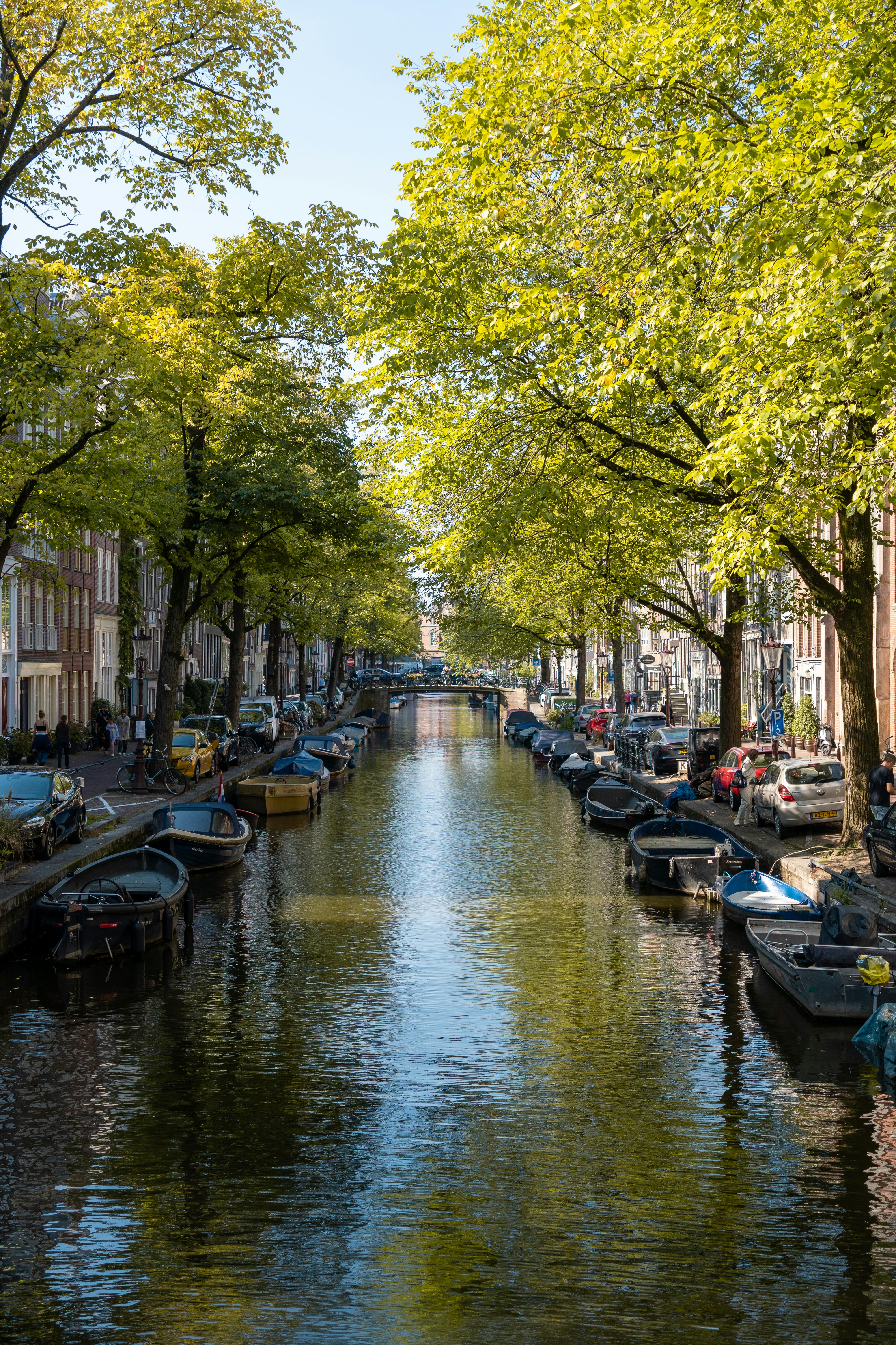 Beautiful view of Amsterdam canal lined with boats, lush trees, and historic architecture.