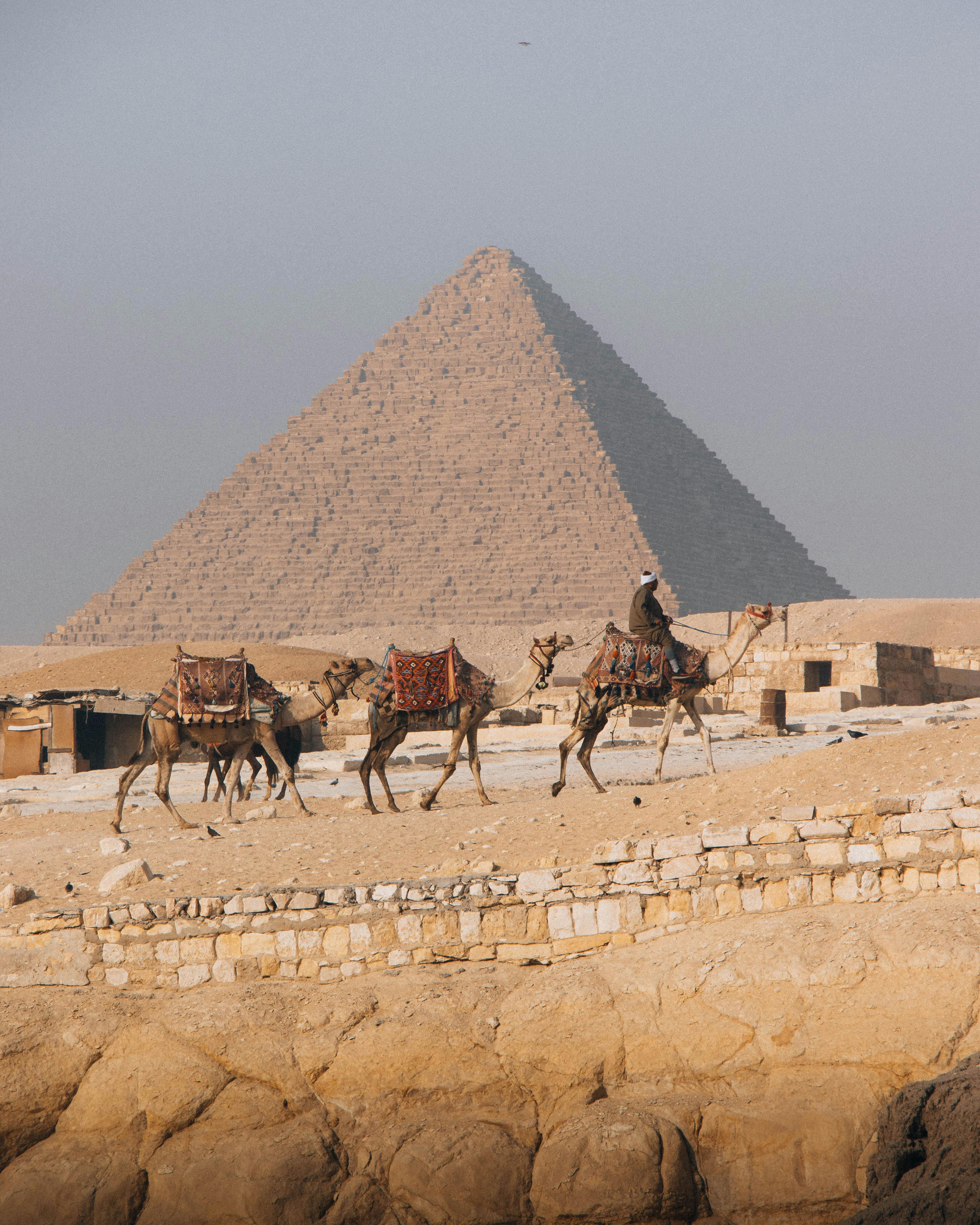 Camels and riders traverse the desert near the majestic Pyramid in Giza, Egypt.